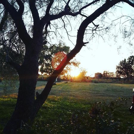La Nena: Casa De Campo A 15 Minutos Del Centro. Villa Colonia del Sacramento Luaran gambar