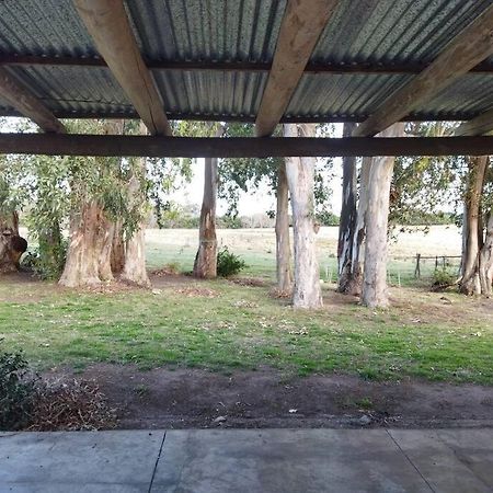 La Nena: Casa De Campo A 15 Minutos Del Centro. Villa Colonia del Sacramento Luaran gambar