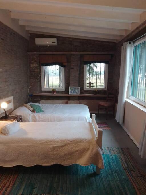 La Nena: Casa De Campo A 15 Minutos Del Centro. Villa Colonia del Sacramento Luaran gambar