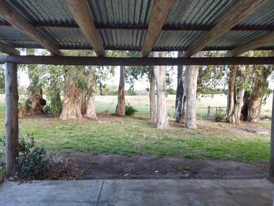 La Nena: Casa De Campo A 15 Minutos Del Centro. Villa Colonia del Sacramento Luaran gambar